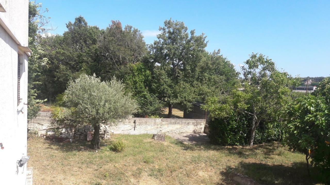 Apartment Radovan Porec Exterior photo